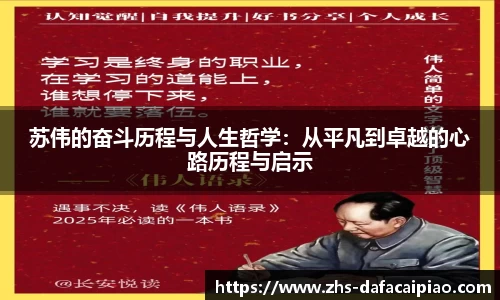 苏伟的奋斗历程与人生哲学：从平凡到卓越的心路历程与启示