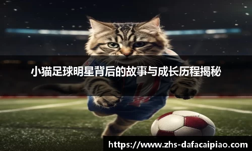 小猫足球明星背后的故事与成长历程揭秘